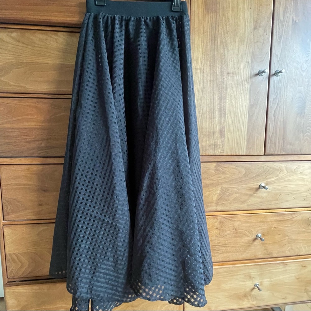 Black sheer full maxi circle skirt
